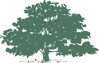 tree trimming tulsa tree removal rickert tree service tulsa ok removal trimming tree trimming tulsa tree removal rickert tree service tulsa ok removal trimming